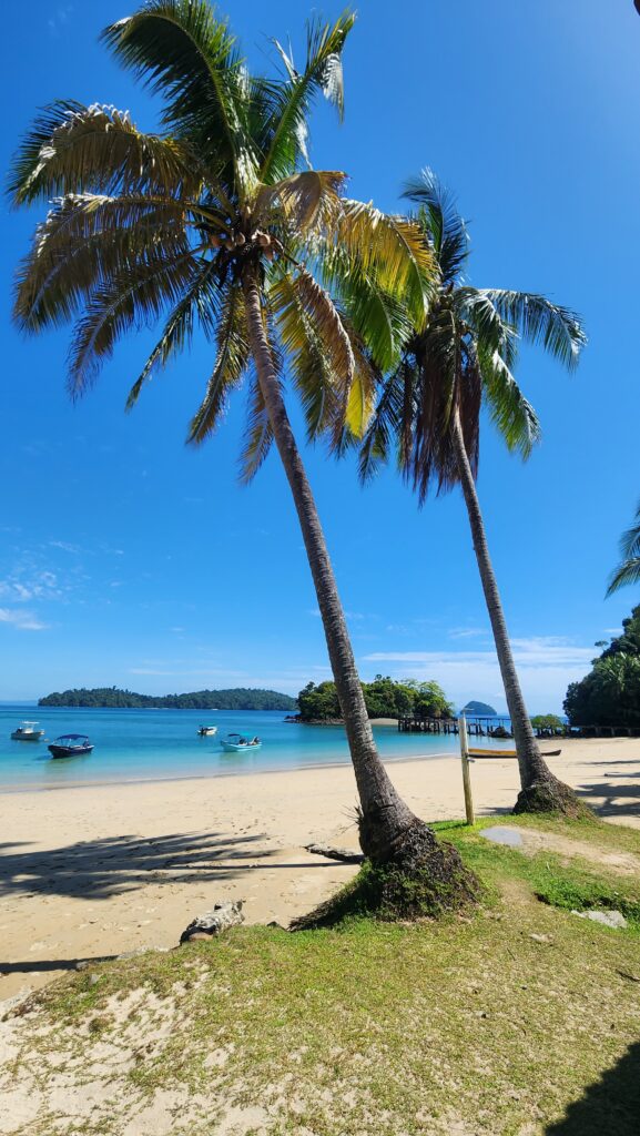 Coiba