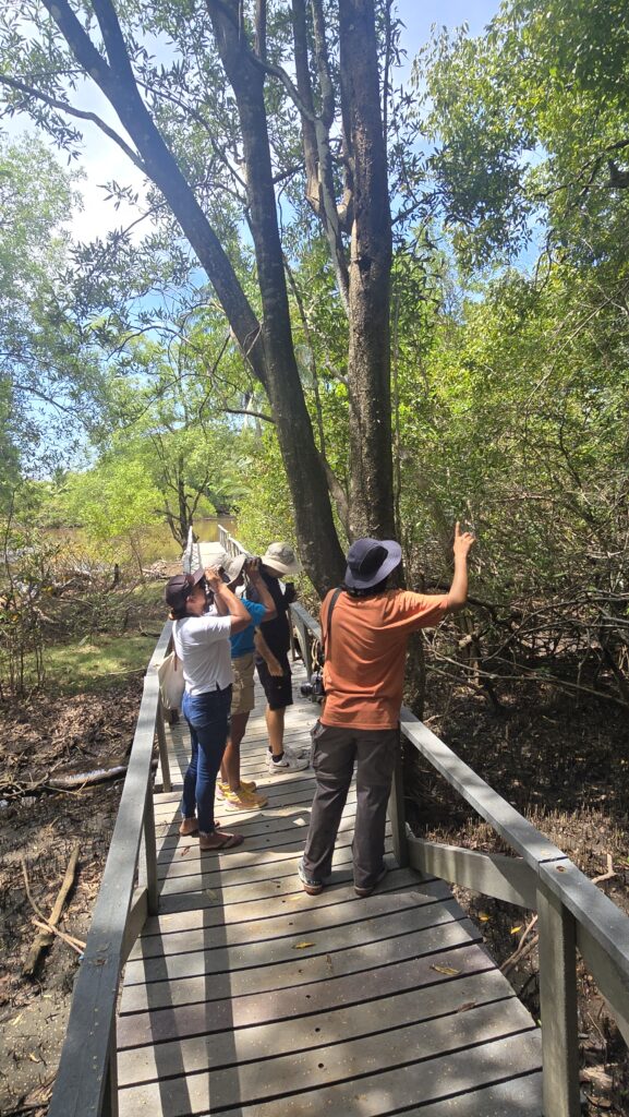 Avistamiento de Aves